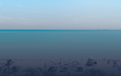 Avalon Hotel Miami